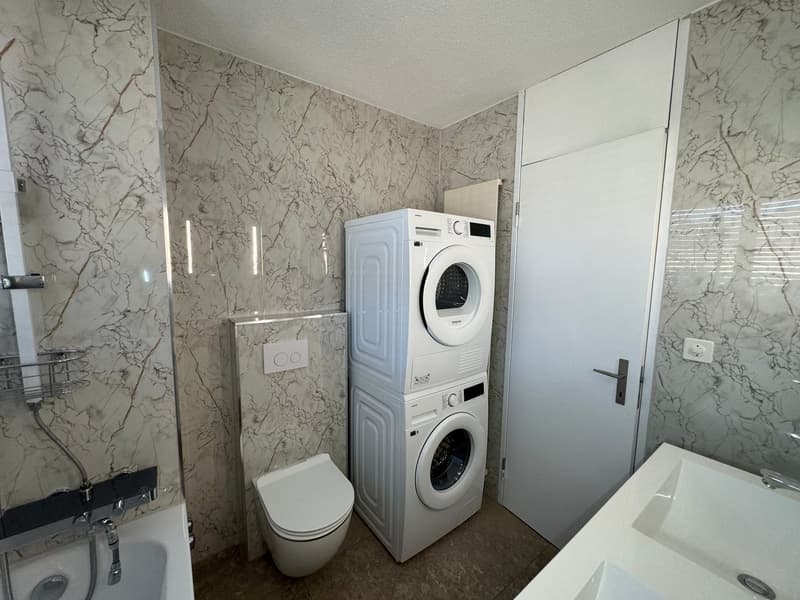 neu renovierte Wohnung, privater Waschturm (9)