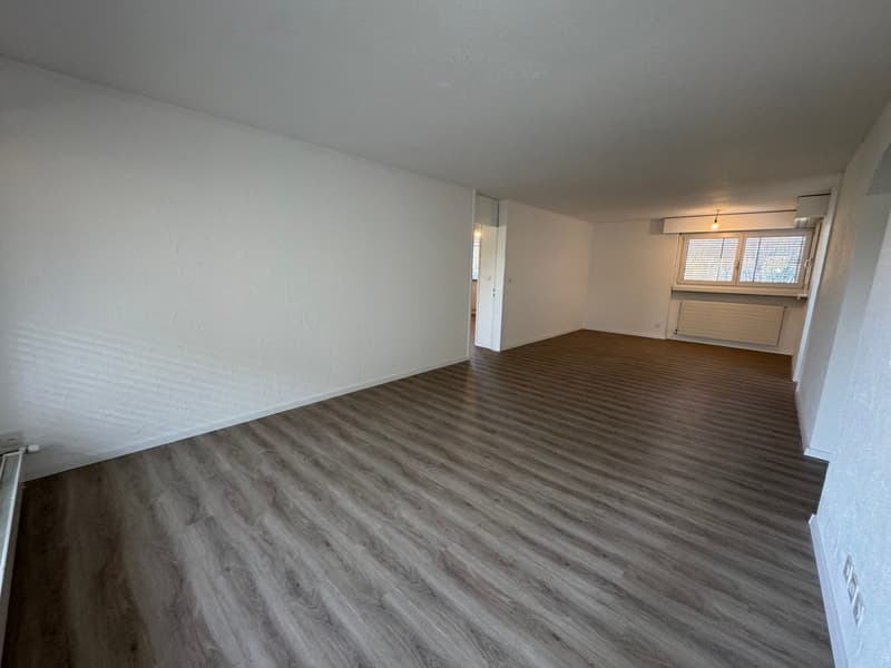 neu renovierte Wohnung, privater Waschturm (17)