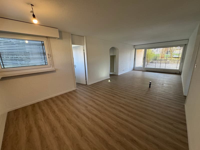 neu renovierte Wohnung, privater Waschturm (6)