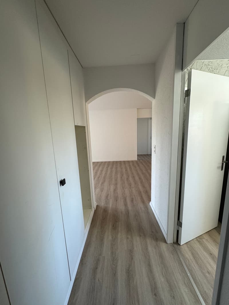 neu renovierte Wohnung, privater Waschturm (2)