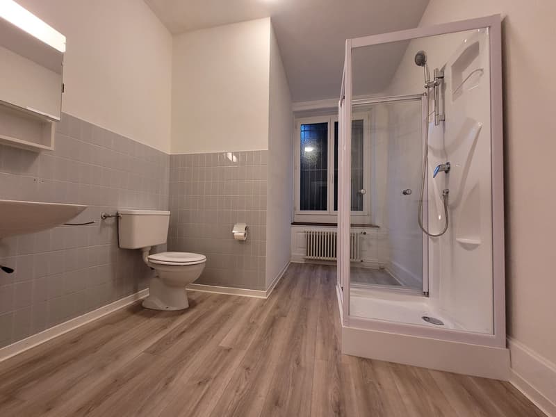 Mehrfamilienhaus  9 Objekten, sofort verfügbar (19)