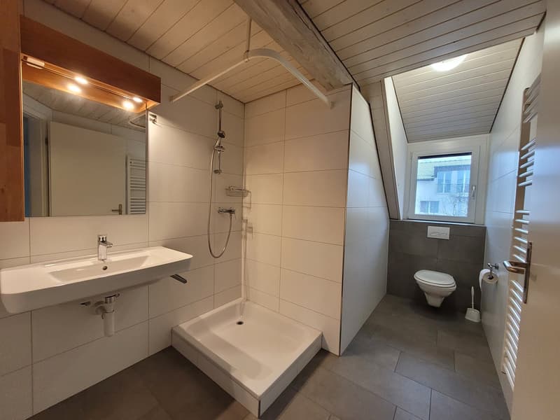 Mehrfamilienhaus  9 Objekten, sofort verfügbar (4)