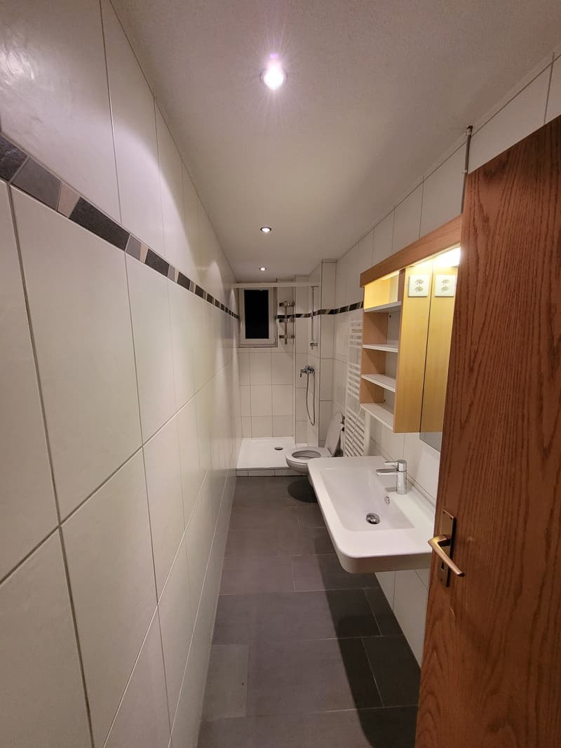 Mehrfamilienhaus  9 Objekten, sofort verfügbar (5)