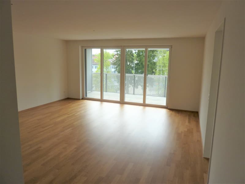 Appartamento mansardato luminoso 4.5 locali con balcone e vista a Wetzikon (5)