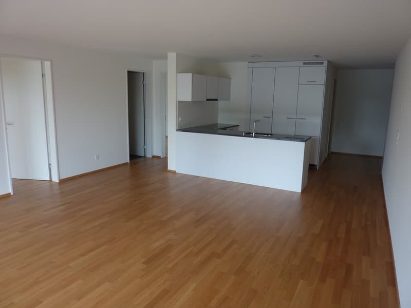 Appartamento mansardato luminoso 4.5 locali con balcone e vista a Wetzikon (2)