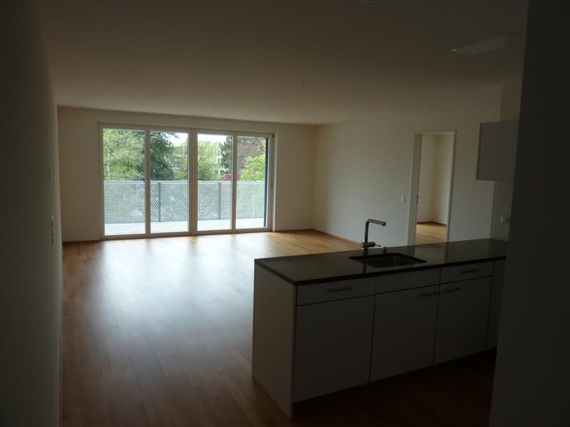Appartamento mansardato luminoso 4.5 locali con balcone e vista a Wetzikon (3)