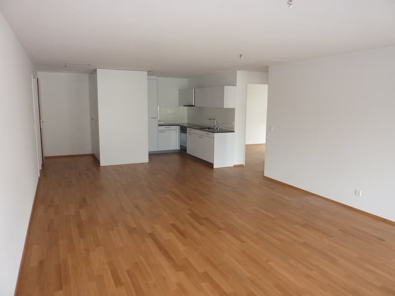 Appartamento mansardato luminoso 4.5 locali con balcone e vista a Wetzikon (4)