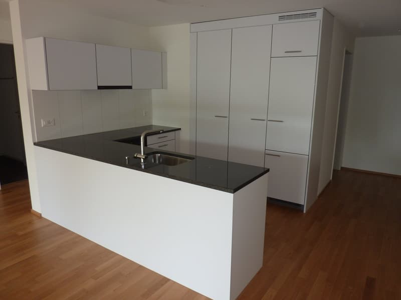 Appartamento mansardato luminoso 4.5 locali con balcone e vista a Wetzikon (6)