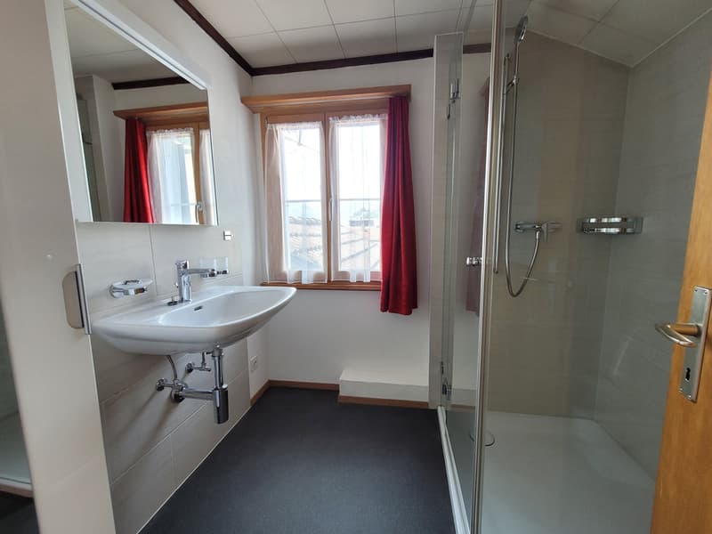 Appartement mansardé 3 pièces - Le grenier est inclus (3)