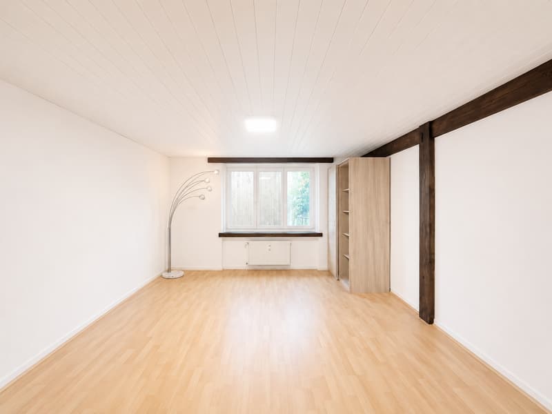 Geräumige 4.5-Zimmer-Wohnung im Erdgeschoss in Zwingen – ab sofort verfügbar! (7)