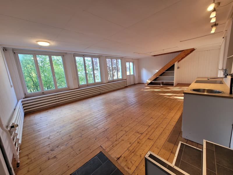 Grosszügige 6-Zimmer-Büro oder Fabrikationsräume in zentraler Lage (17)