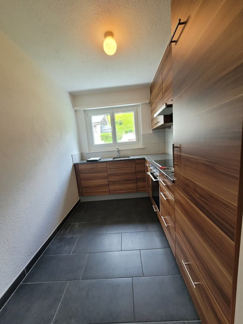 Helle 4.5-Zimmer-Wohnung mit Balkon und schöner Aussicht in Ulisbach (3)