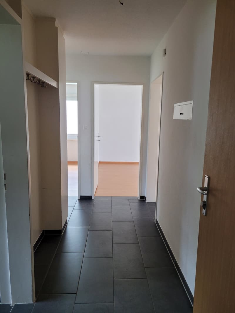 Helle 4.5-Zimmer-Wohnung mit Balkon und schöner Aussicht in Ulisbach (4)