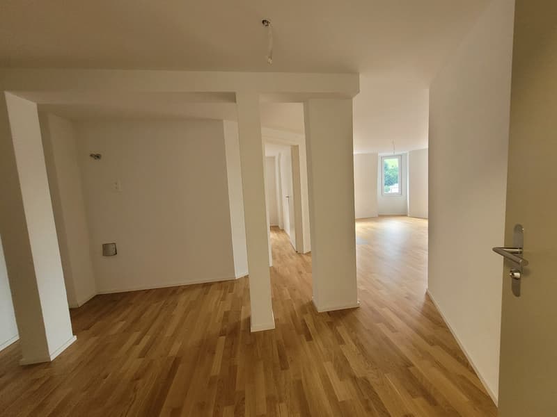 Ertragsstarkes Mehrfamilienhaus mit 10 Wohnungen in Schwanden GL (12)