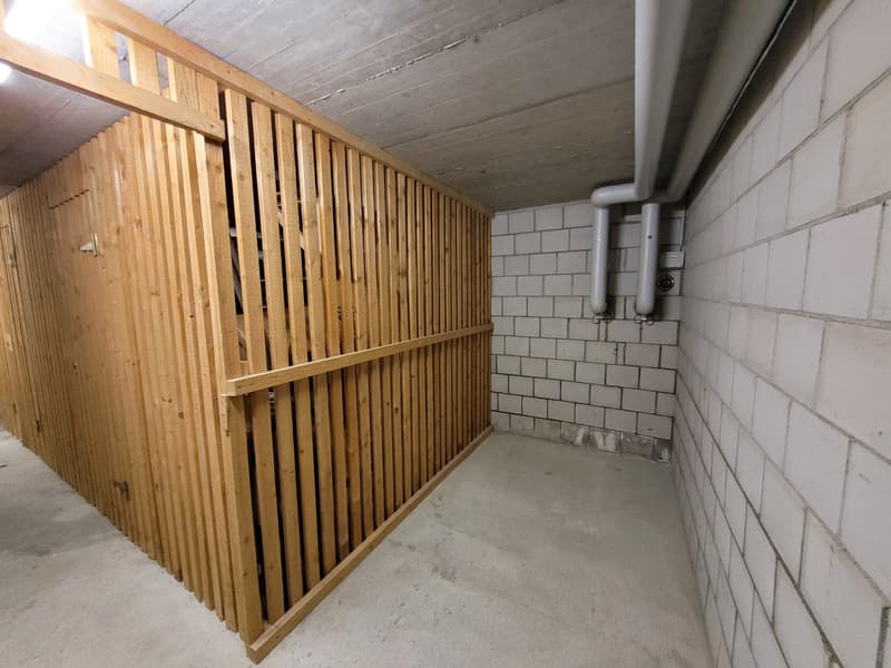 3.5-Zimmer-Dachwohnung in Tamins – sofort verfügbar (21)