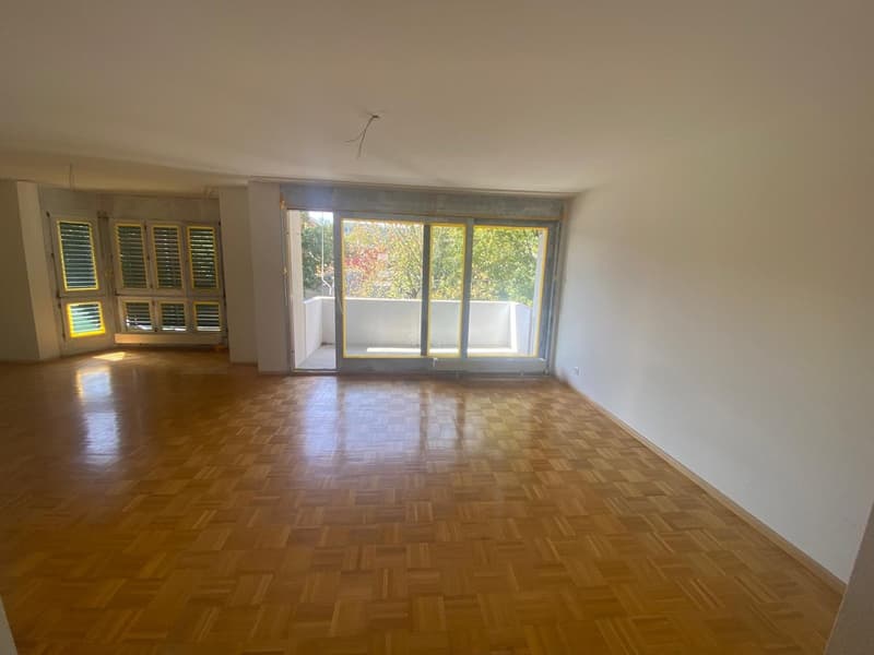 Erstvermietung nach Umbau 3.5-Zimmer-Wohnung mit Balkon in Zwingen (20)