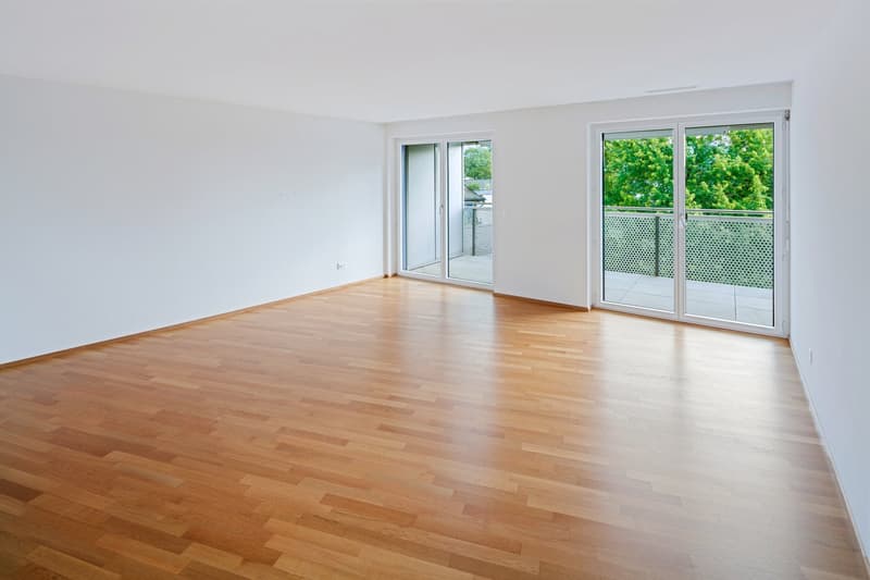 Helle 4.5-Zimmer-Dachwohnung mit Balkon und schöner Aussicht in Wetzikon (4)