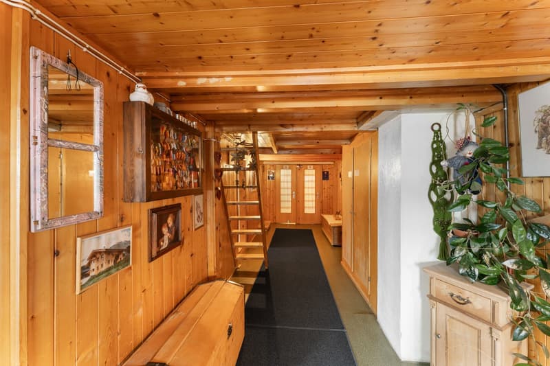 wooden walls, wooden floor, mirror, wooden cabinet, ladder, framed pictures, black carpet, wooden chest, plant