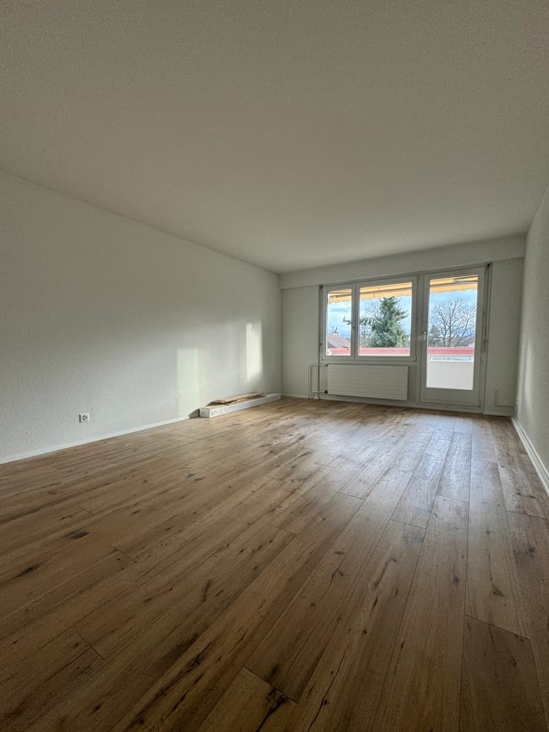Frisch sanierte 3-Zimmer-Eckwohnung – Eigennutzung oder attraktive Kapitalanlage (2)