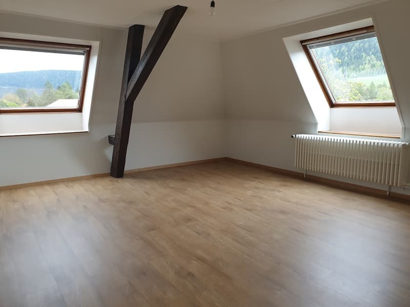 Spacious 4.5-room apartment with elevator (5)