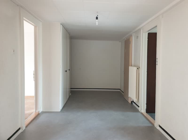 Spacious 4.5-room apartment with elevator (7)