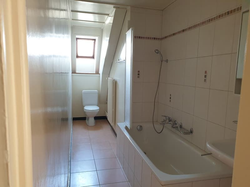Spacious 4.5-room apartment with elevator (3)
