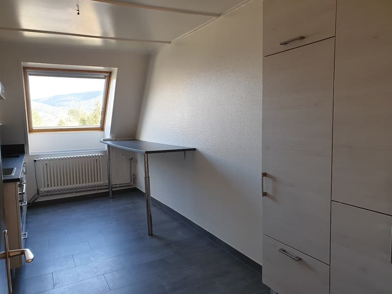 Spacious 4.5-room apartment with elevator (2)