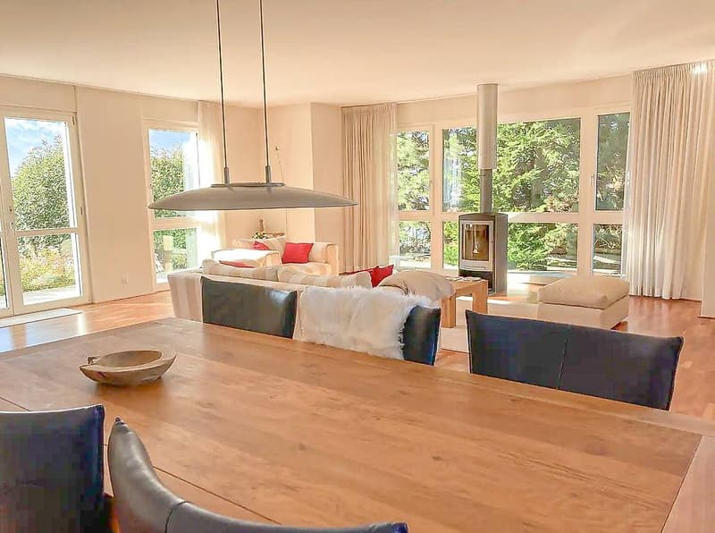 wooden table, modern interior, glass doors, fireplace, couches, chairs, hanging lamp