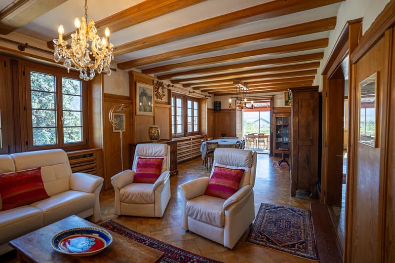 Maison de caractère avec 2 appartements et vaste parcelle à Chamoson (3)