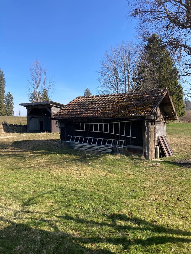 Old wooden barn with a tiled roof, located in a grassy field with trees in the background.