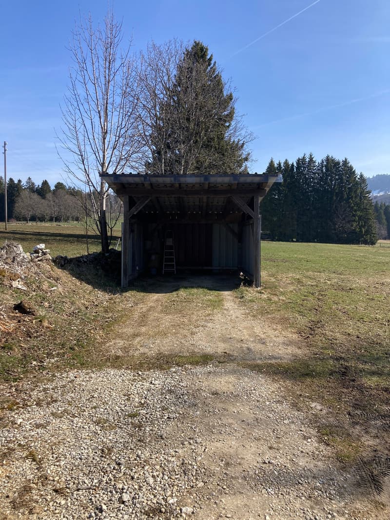 wooden shed, ladder, open door, gravel path, trees, field