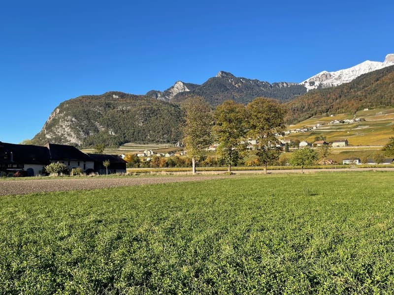 BUILDING PERMIT OBTAINED - SINGLE-FAMILY VILLA - PANORAMIC VIEW (11)