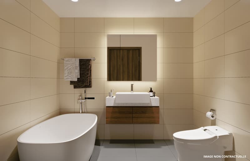 ATTIQUE DE 4,5 PCES AVEC HAUTEUR DE PLAFOND DE PLUS DE 4 M ET LOGGIA (5)
