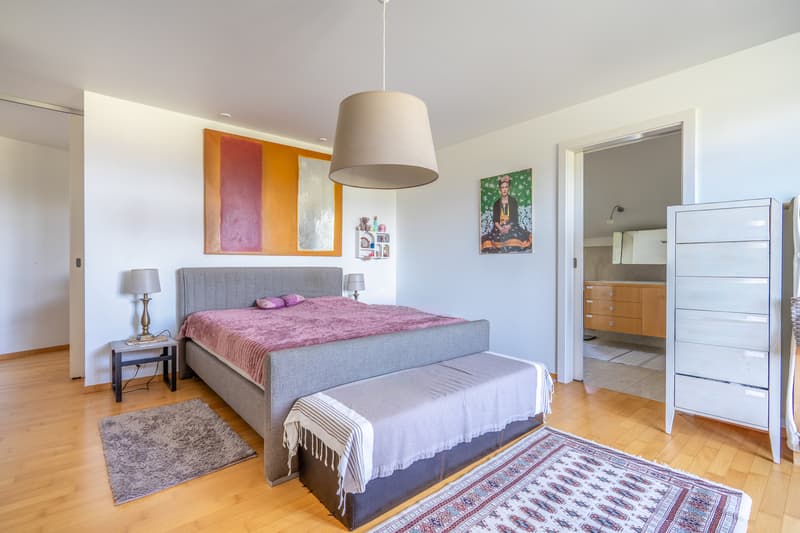OFF MARKET ! Duplex d'exception avec vue sur le lac (8)