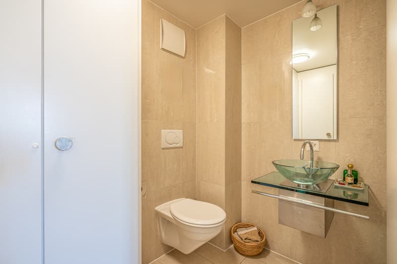 OFF MARKET ! Duplex d'exception avec vue sur le lac (11)
