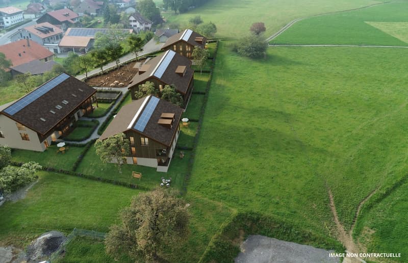 ATTIQUE D'EXCEPTION TRAVERSANT DE 4,5 PCES AVEC LOGGIA (2)