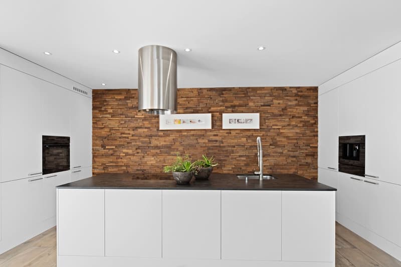 5.5-room apartment with 2 terraces (5)