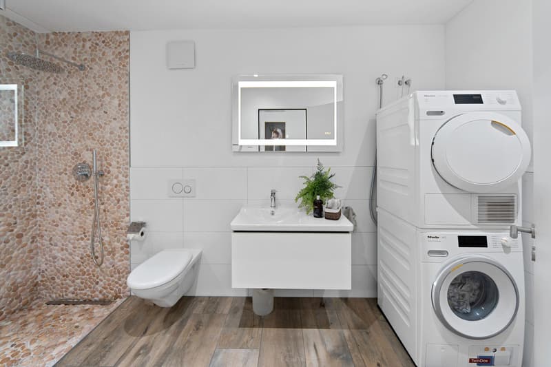 5.5-room apartment with 2 terraces (7)