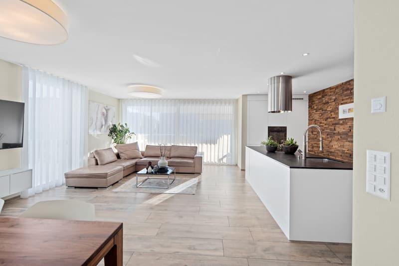 5.5-room apartment with 2 terraces (1)