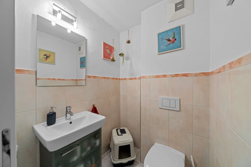 Garden lovers take note - Idyllic 4.5-room apartment in Oetwil am See (9)
