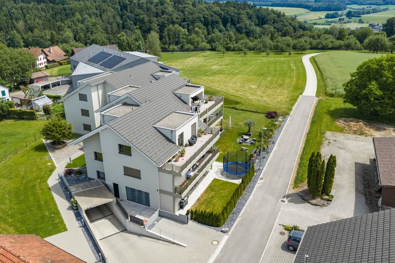 Amateurs de jardin attention - appartement de 3,5 pièces neuf avec vue sur le vert (5)