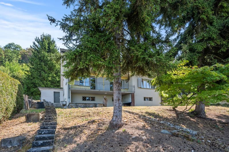 6.5-Zimmer-EFH an familienfreundlicher Lage mit grossem Garten (15)