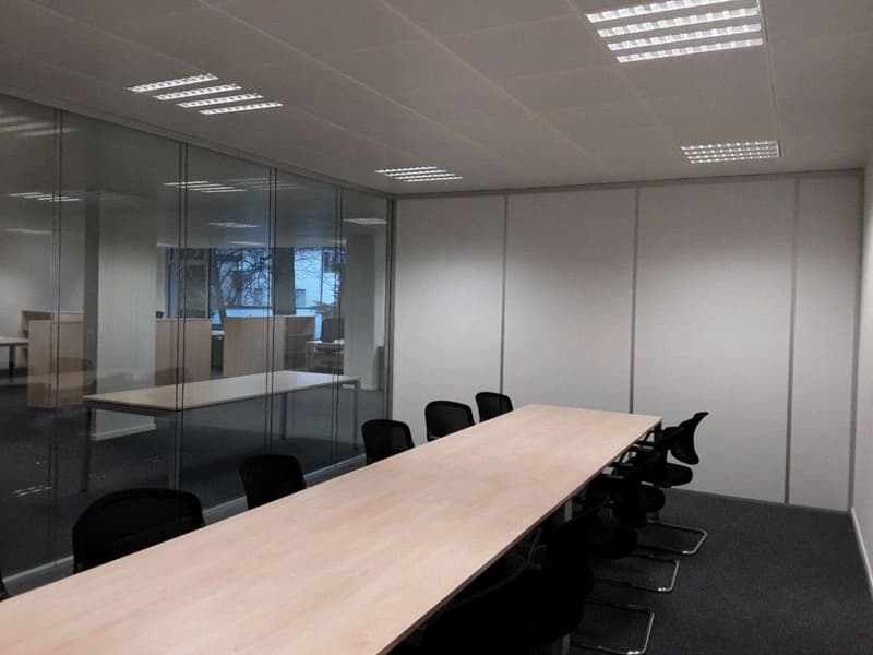 VERSOIX - Bureaux lumineux d'env. 262 m² ? Rez-de-chaussée (7)