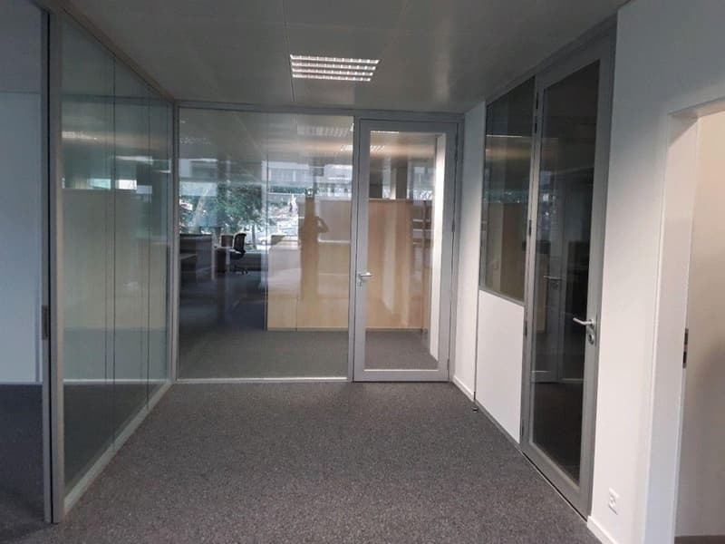 VERSOIX - Bureaux lumineux d'env. 262 m² ? Rez-de-chaussée (6)