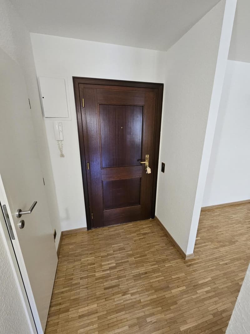 3 rooms in Eaux-Vives (8)
