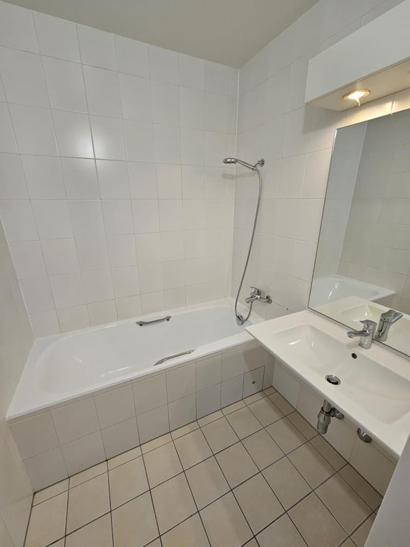 3 rooms in Eaux-Vives (5)