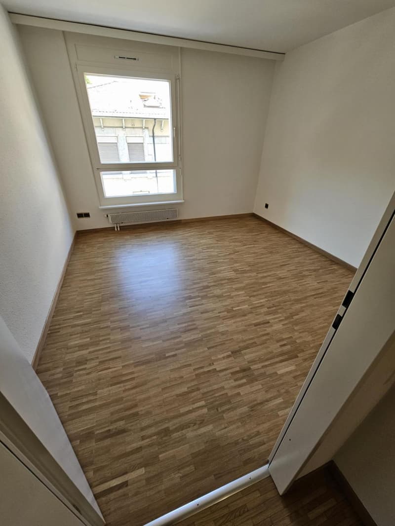 3 rooms in Eaux-Vives (4)