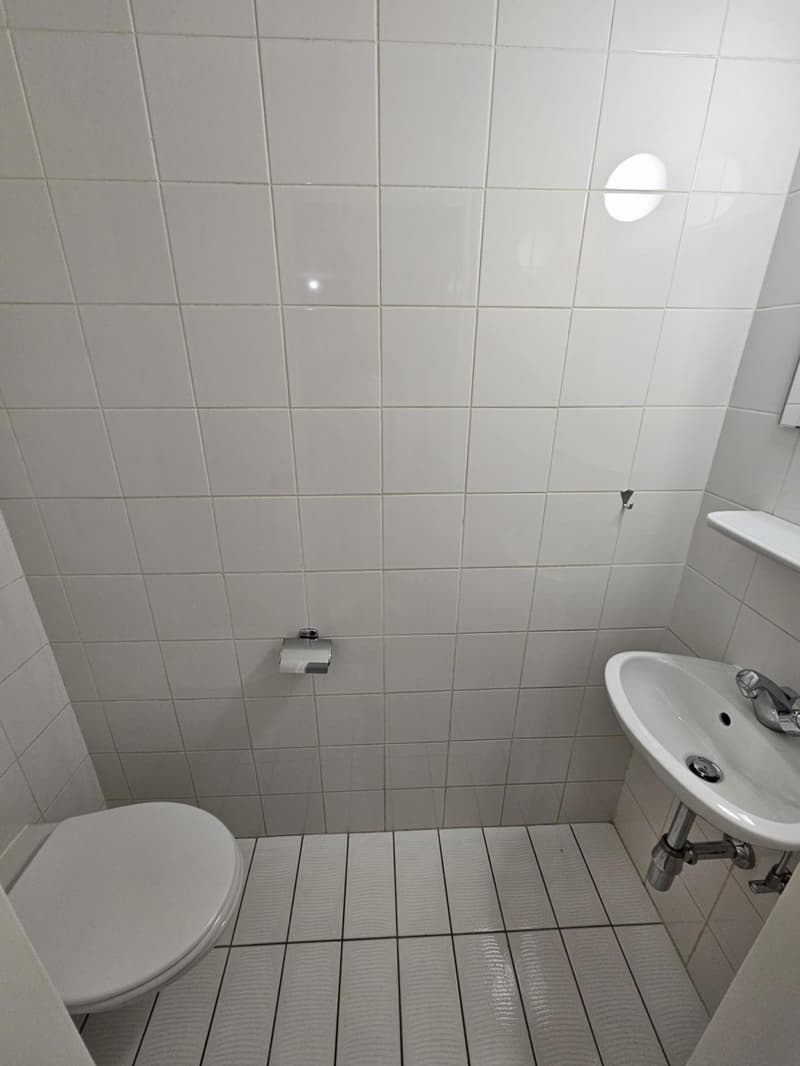 3 rooms in Eaux-Vives (6)