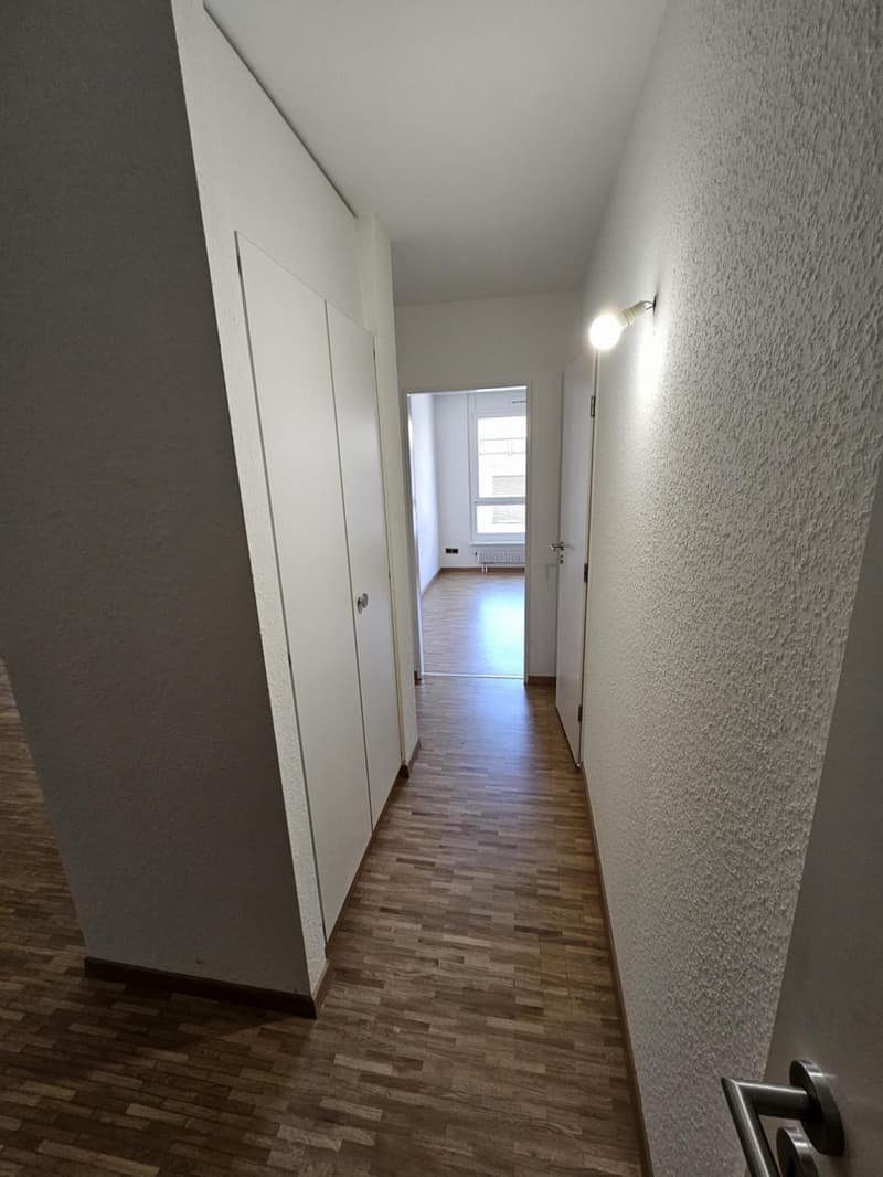3 rooms in Eaux-Vives (7)