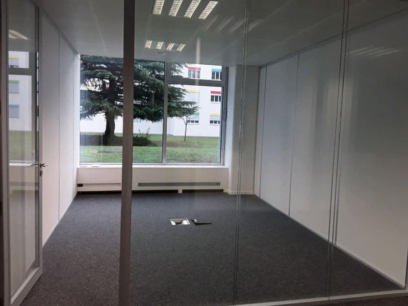 VERSOIX - Bright offices of approx. 262 m² ? Ground floor (2)